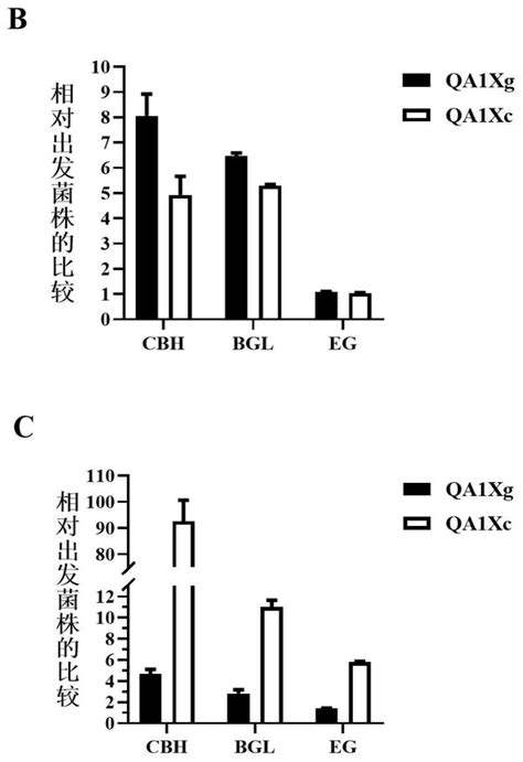 基于crisprcas9技术同步提升里氏木霉木聚糖酶活和纤维素酶活的方法及应用