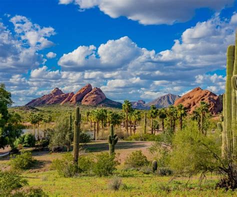 11 Best Hikes In Phoenix For 2024 Handpicked By A Local