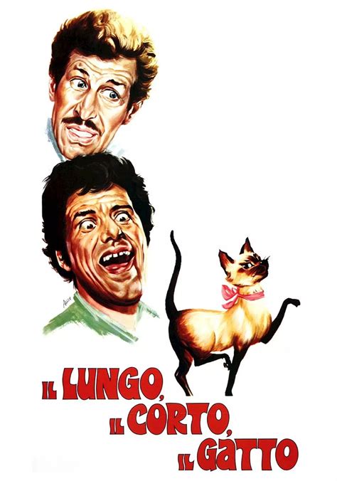 Il Lungo Il Corto Il Gatto Film Italia Head Topics