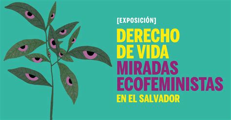 Derecho De Vida Miradas Ecofeministas En El Salvador Ccesv