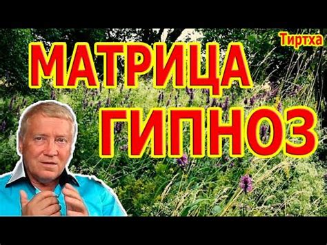 Сильнейший Гипноз Матрица ☀️ Регенерация и Восстановление Всех Органов ...