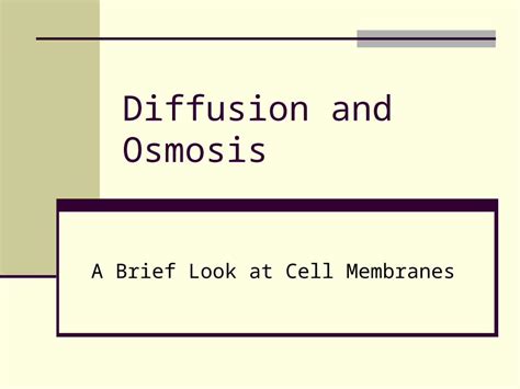 PPT Diffusion And Osmosis A Brief Look At Cell Membranes DOKUMEN TIPS