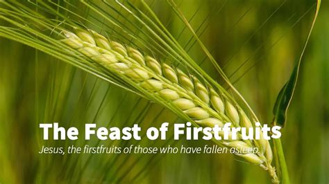 Ppt The Feast Of First Fruits Powerpoint Presentation Free 52 Off