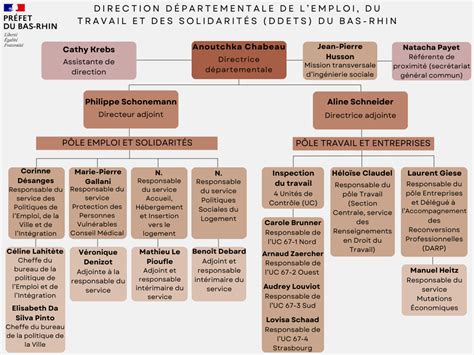 Organigramme DDETS Direction départementale de lemploi du travail