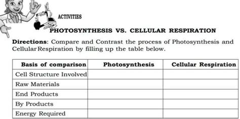 SOLVED Pa Answer Po Plsssss And Ans Ans Ans ACTIVITIES PHOTOSYNTHESIS