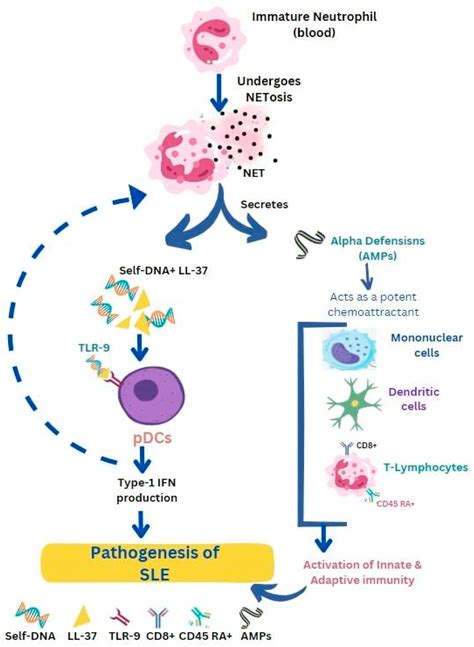 Life Free Full Text Understanding The Role Of Antimicrobial