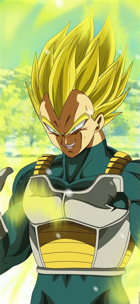 100 Majin Vegeta Smile Wallpapers