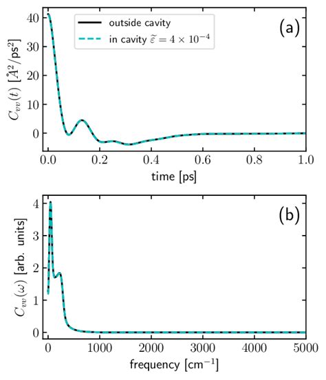 Velocity Autocorrelation Function VACF Of The Center Of Mass Of