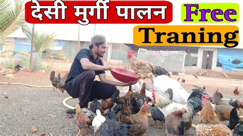 Polti Murgi Farm Business Poultry Farming In India Murgi Palan