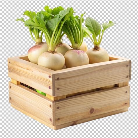 Premium PSD Wooden Box Turnip Transplant Background