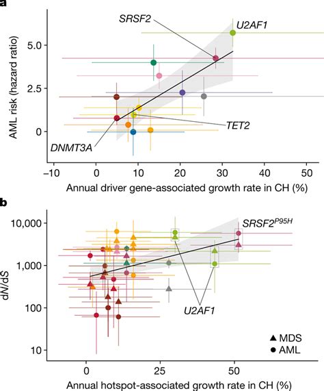 Clonal Haematopoiesis Dynamics And Progression To Myeloid Disease A