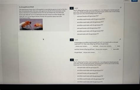 Drosophlla Sex Linked The Inheritance Of Eye Color Chegg