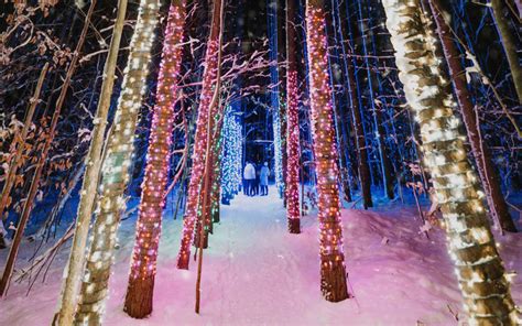 13 Merry & Bright Walk Through Christmas Lights Experiences in Michigan ...