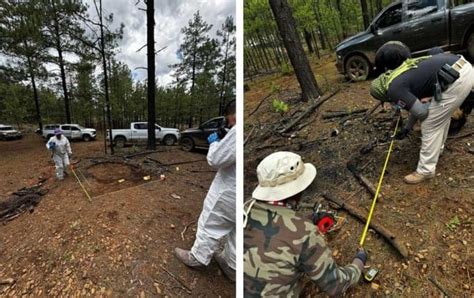 Hallan M S De Restos Seos En Ejido De Madera