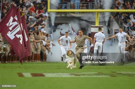 Aggie Mascot Photos and Premium High Res Pictures - Getty Images