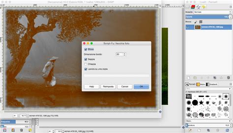 Gimp Filtri Decorativi Guida Gimp Grafica Html It