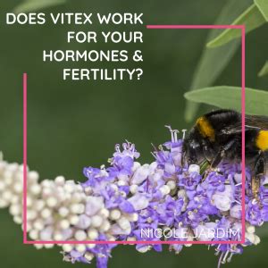 Does Vitex work for your hormones & fertility? - Nicole Jardim