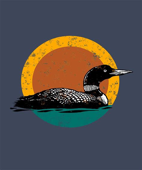 Loon Sunset Faded Look With Retro Colors Poster Painting By Damien