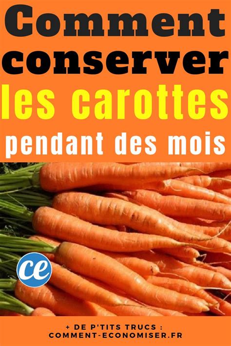 Comment Conserver Les Carottes Pendant Des Mois Carottes En Conserve