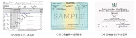 加高课程ossd 课程介绍 国贤bic学部官网