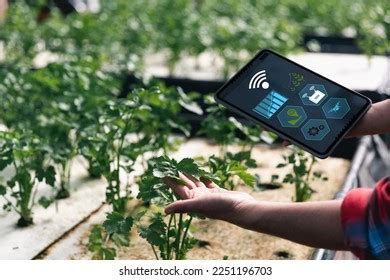 Smart Farming Farm Technology Concept Smart Stock Photo 2251196703 ...