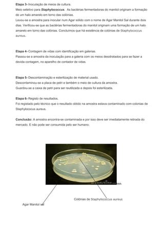 Prova De Consulta Parte 2 Rosa PDF