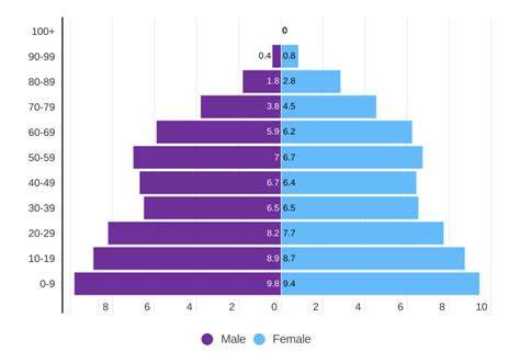 Creating A Population Pyramid In Prezi Design Prezi Support Center