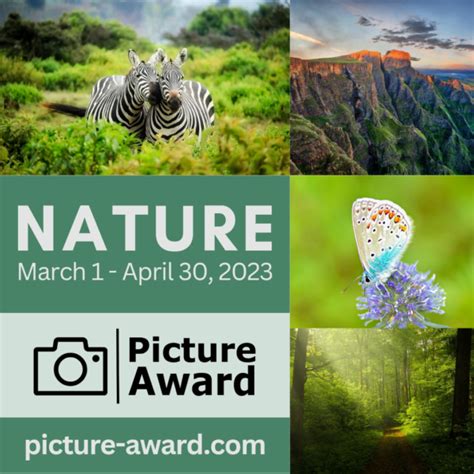 Picture Award 2023 – NATURE - Photo Contest Guru