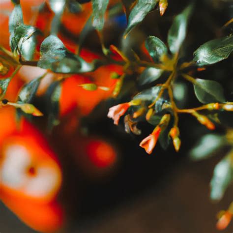 Proteja Seu Jardim Pragas Outonais Em Plantas