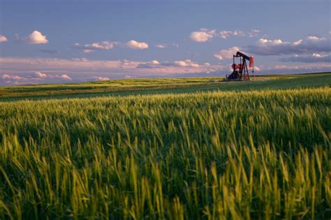 Crop Tour Suggests Record Large Wheat Harvest Ahead Agcanada