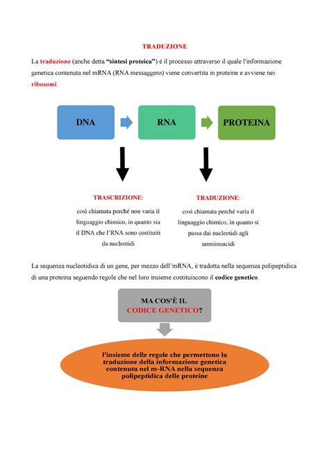 Traduzione DNA Appunti BIOLOGIA CELLULARE E ANATOMIA UMANA UNICAL