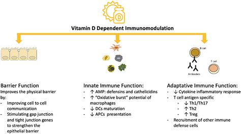 Frontiers Vitamin D A Potential Mitigation Tool For The Endemic