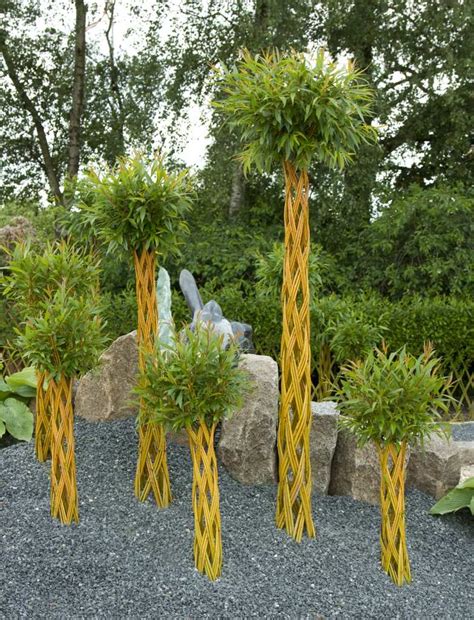 Harlequin Willow Tree Is An All Time Favorite Within Living Art