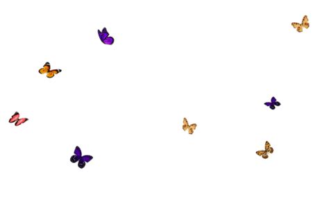 🥇 Image Of Backgrounds Png Illustration Overlay Butterfly Vector Design