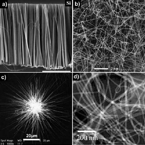 SEM Images Of Silicon Nanowires Grown Via Various Methods A Si