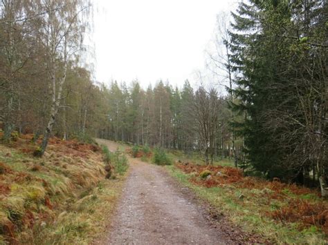 Track Through Woodland Near Aviemore Malc Mcdonald Cc By Sa