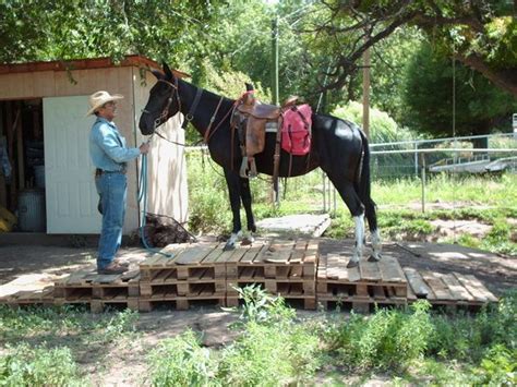 Pin By Clarissa Johnson On Horse Horse Trail Round Pen Horses
