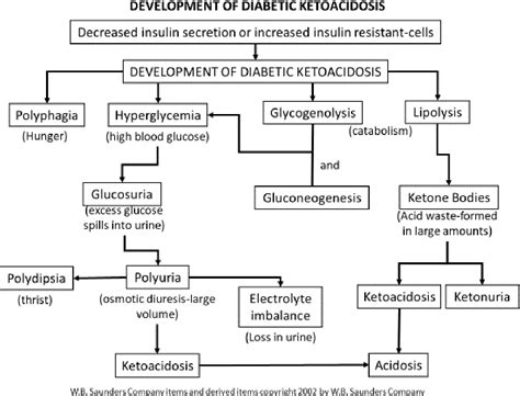 Figure 1 From Diabetic Ketoacidosis A Consensus Statement Of The Associazione Medici Semantic