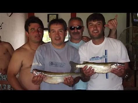 Laguna La Primera En San Luis Pesca Y Caza En La Naturaleza Dia De Pesca