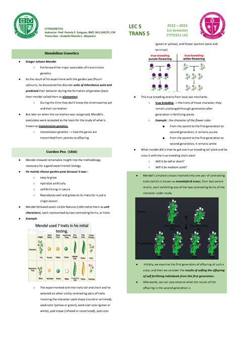 CYTO Week 7 9 Mendelian Genetics Mendelian Genetics Gregor Johann