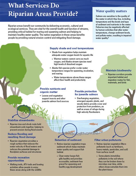 Riparian Areas