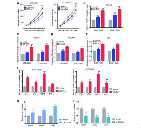 Gremlin 1 Promotes The Proliferation And Activation Of Intestinal