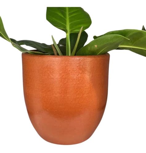 Vaso De Barro Para Plantas Meu Vaso De Barro Vasos Cuidados Para