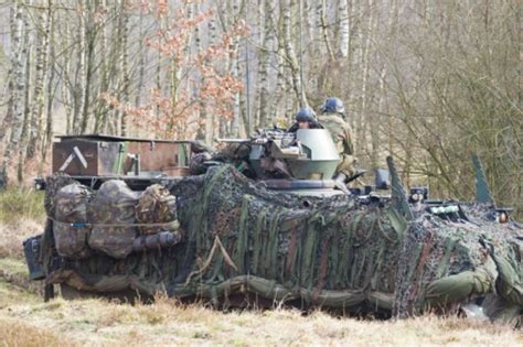 The Military Has Camouflage Covered (86 pics) - Izismile.com