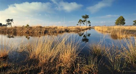 De Groote Peel Boerenspellen