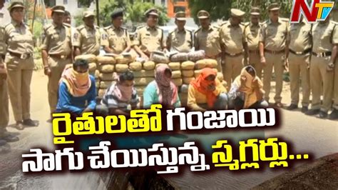 సగరడడ జలలల వచచలవడగ గజయ సగ Police Busted Ganja Gang