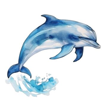 Jumping Dolphins White Transparent Watercolor Two Blue Jumping