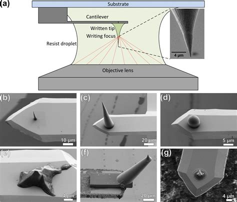 3 D Direct Laser Writing Image Eurekalert Science News Releases