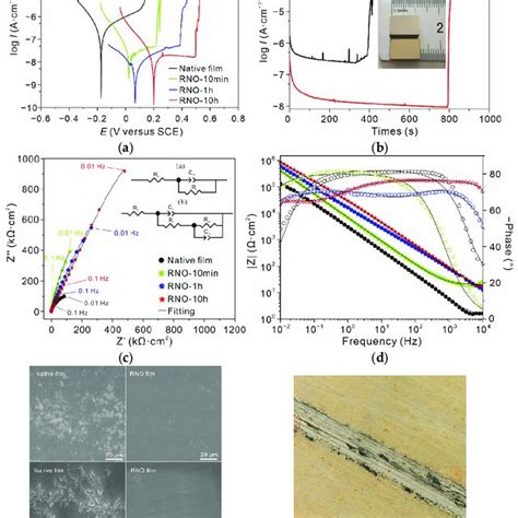 Corrosion Electrochemical Behavior Of The Rno Alloy A Polarization