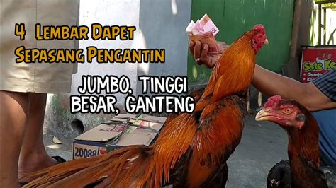 Special Pasar 4yam BK Pedan Klaten Di Bulan Suro 2023 Full Jumbo